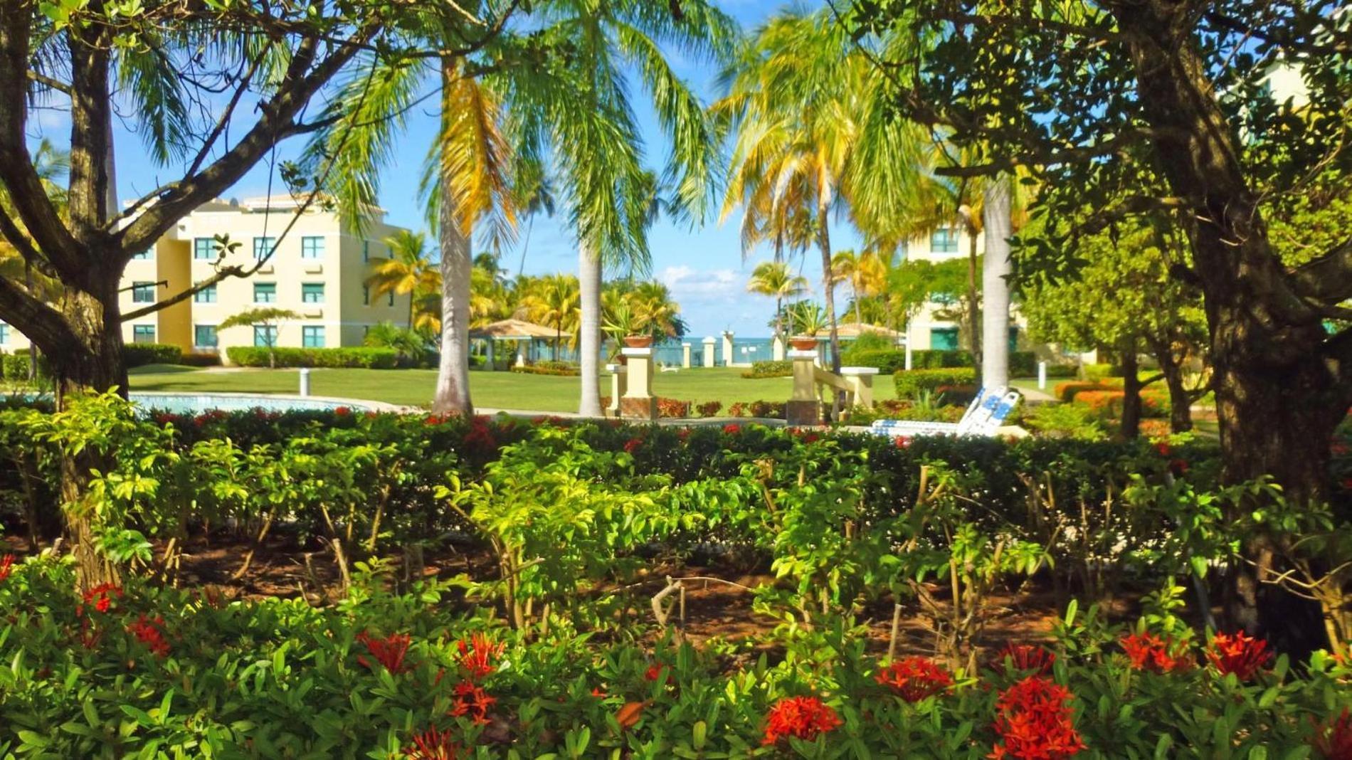 Sandy Cove Río Grande Exterior foto